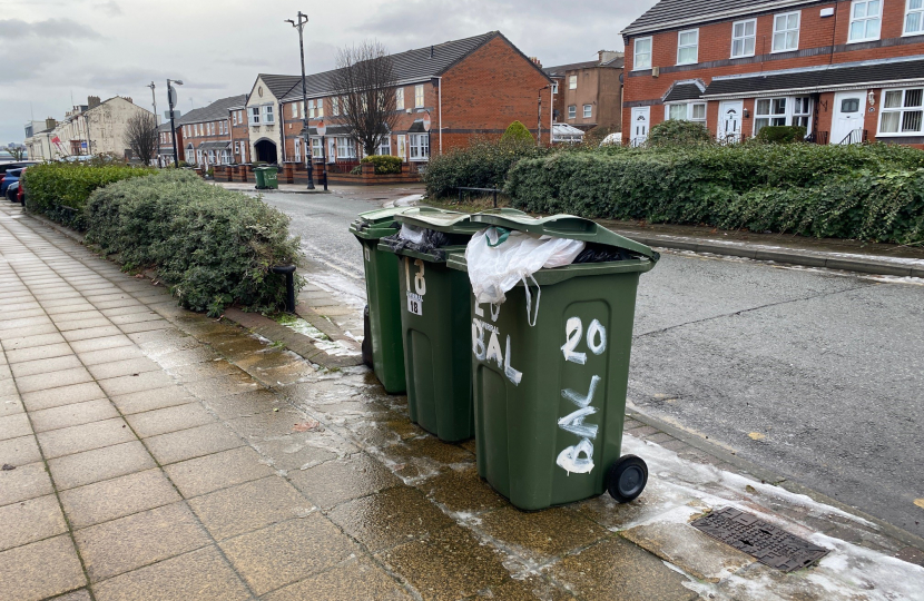 Wheelie bins